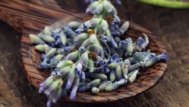 Scegli il prodotto naturale più adatto per aiutarti a dimagrire