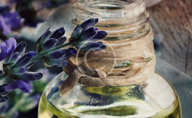 ‘Organico’ e ‘Naturale’ quali sono le differenze ?