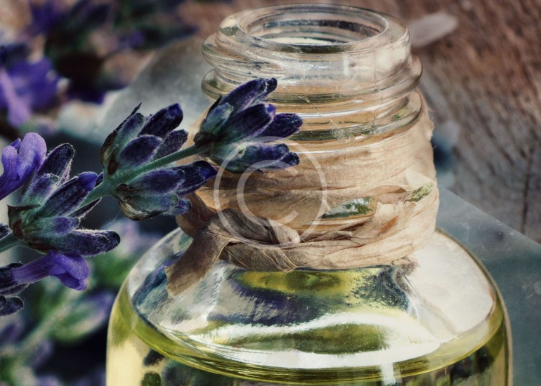 ‘Organico’ e ‘Naturale’ quali sono le differenze ?